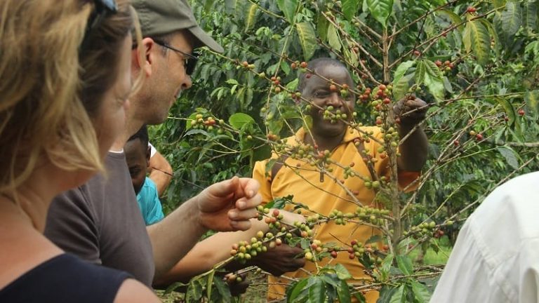 Coffee-Tours-uganda