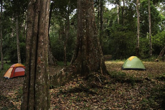 Mpanga-Central-Forest-Reserve