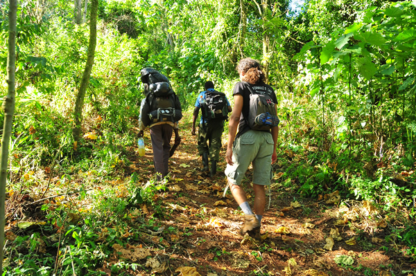 Mt-Elgon-hiking