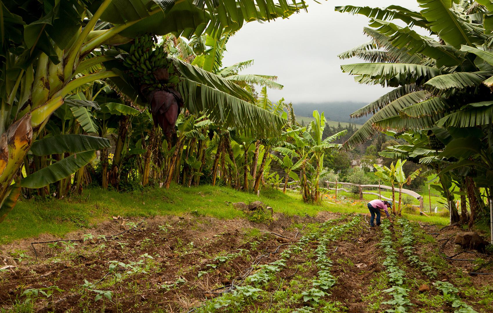 Umucho Eco-Tourism Experiences