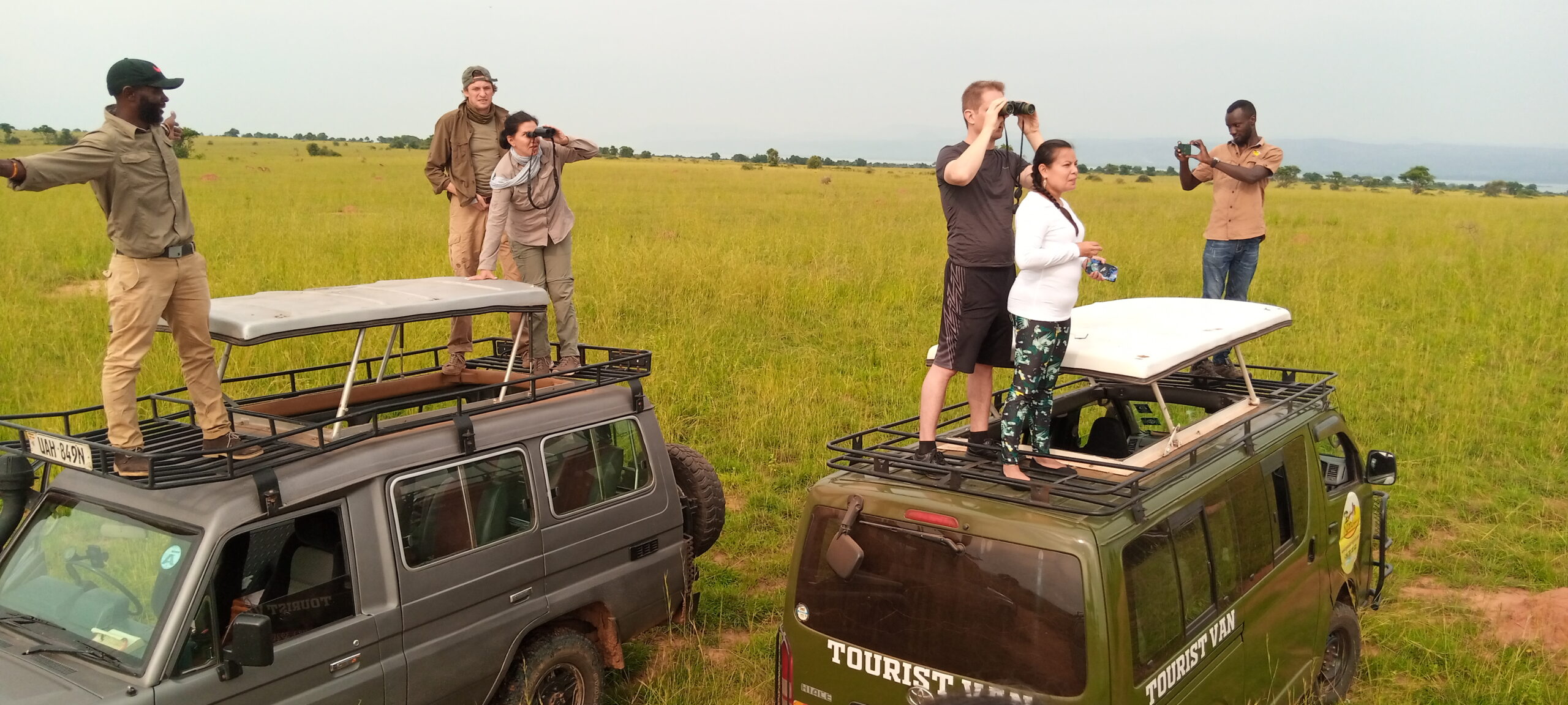 jungle-uganda-car-hire